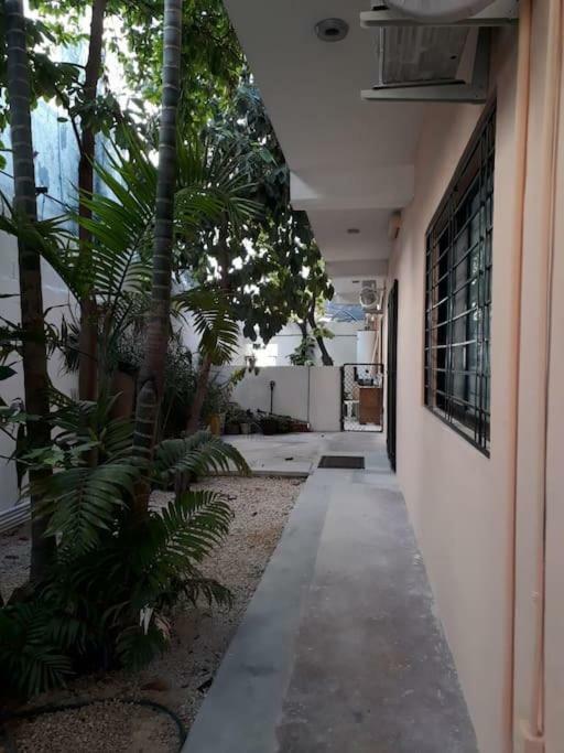 Estudio En Cancun Centro 외부 사진